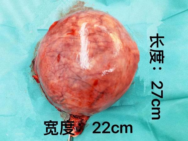 微信圖片_20210222101014.jpg