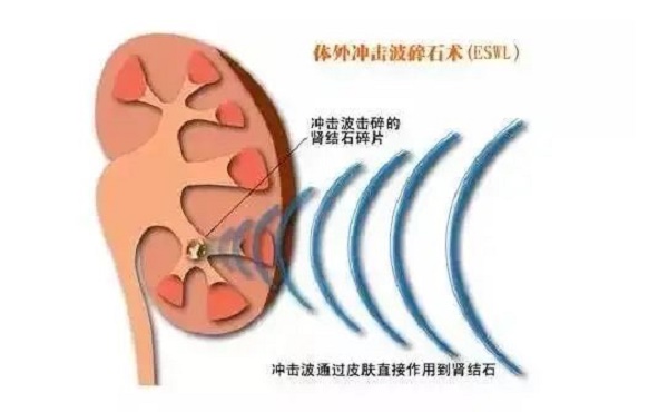 微信圖片_20230327095335.jpg